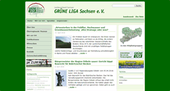 Desktop Screenshot of grueneliga-sachsen.de
