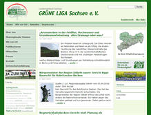 Tablet Screenshot of grueneliga-sachsen.de